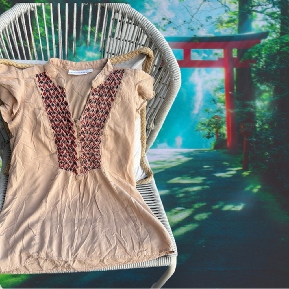 EMBROIDERY GRAPHIC St. John's Bay Red Cream Tunic Top